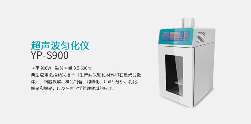 YP-S900